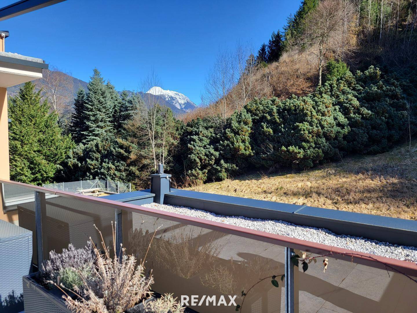 Terrasse mit Blick Richtung Wald