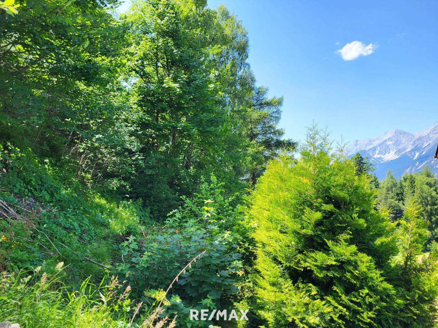 wohnen in der Natur