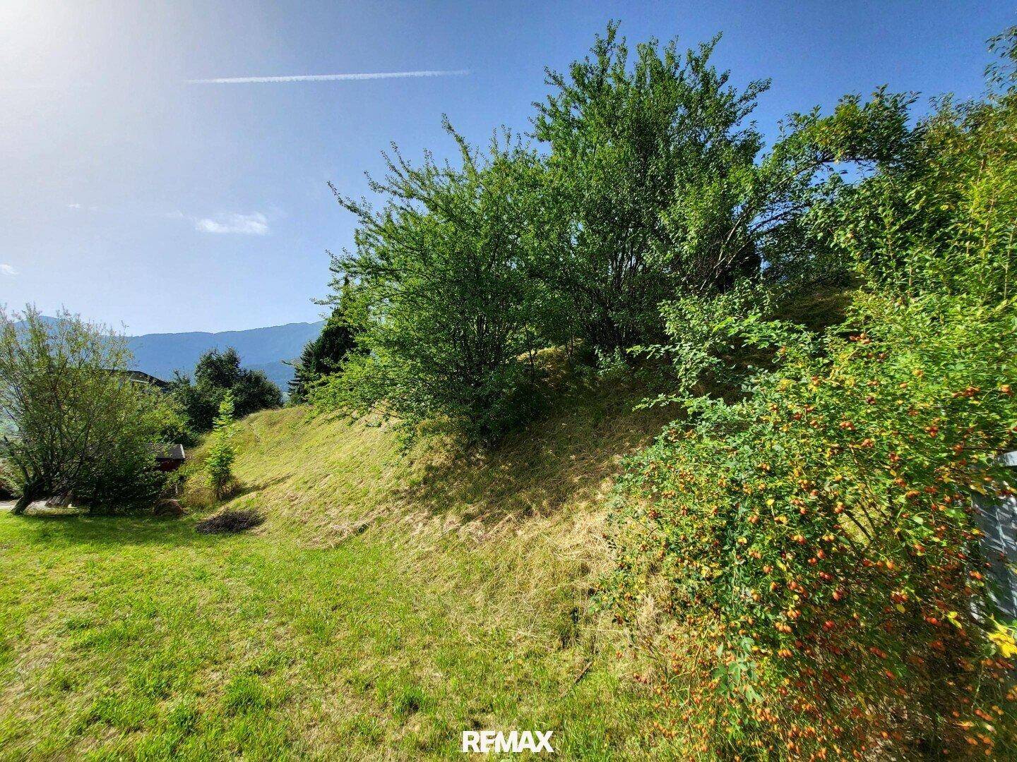 Baugrundstück - Naturoase in Zentrumsnähe - Ansicht 5