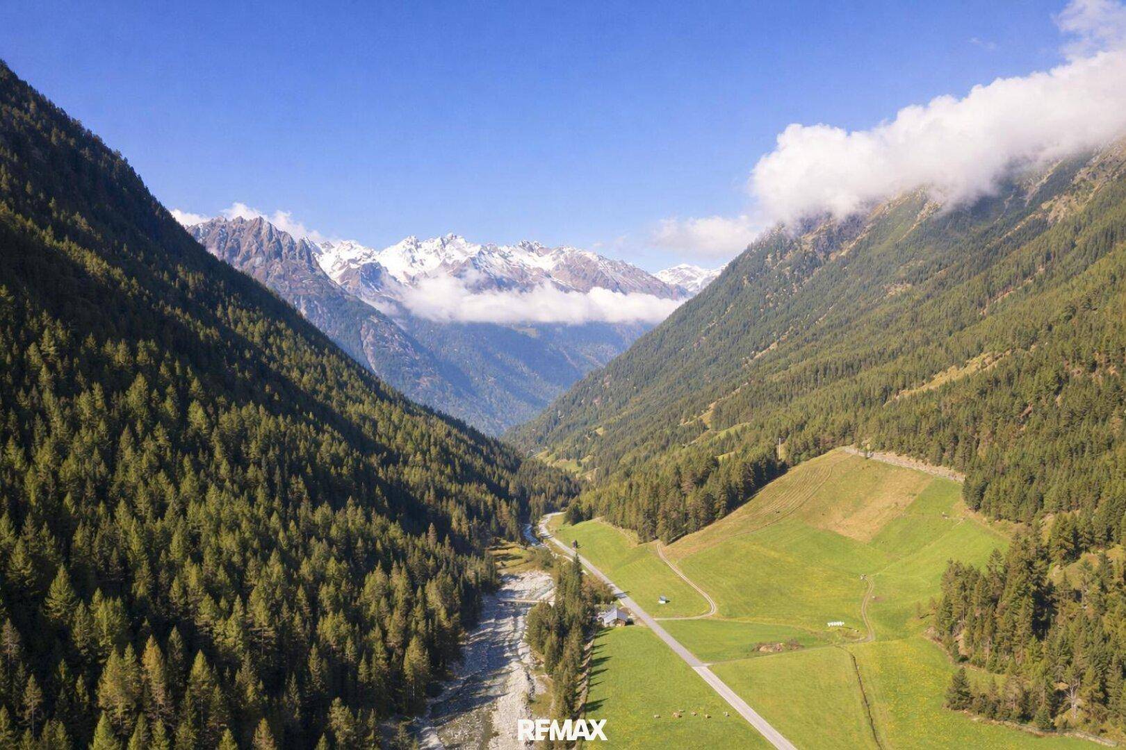 Weitläufiges Bergtal mit dicht bewaldeten Hängen und schneebedeckten Gipfeln unter blauem Himmel.