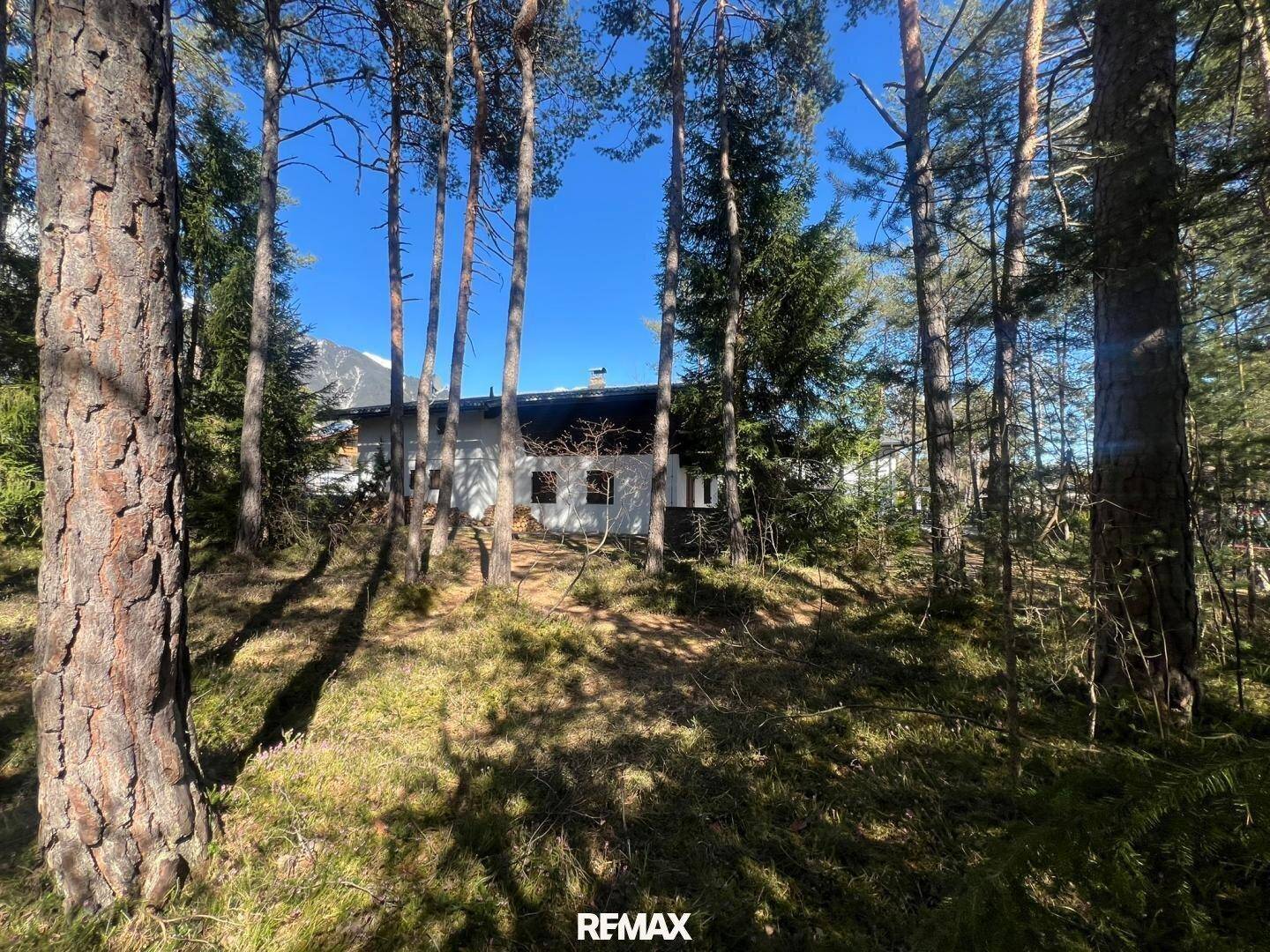 Das Haus ist von dichtem Wald umgeben, mit einem Blick auf die umliegende Naturlandschaft.