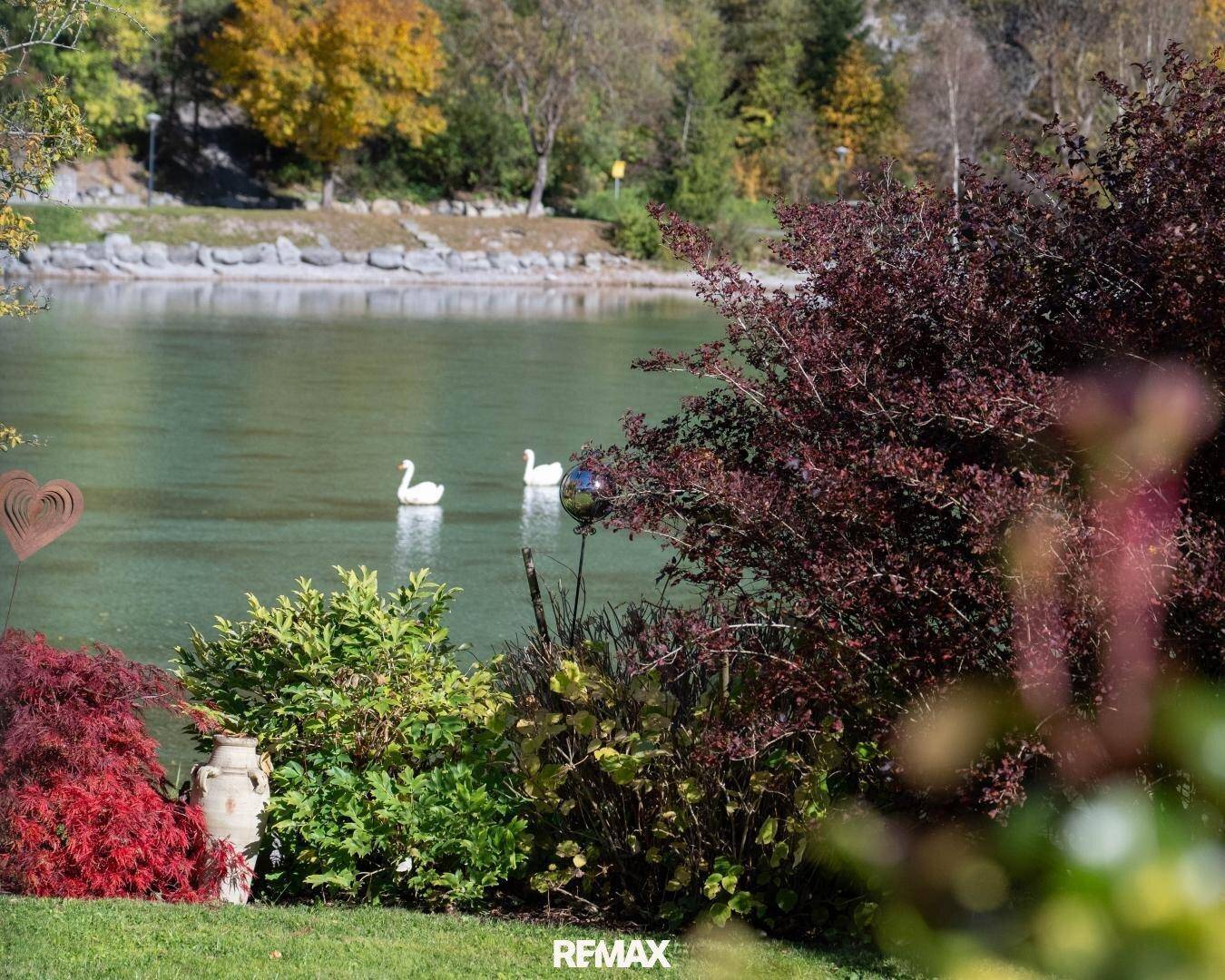 Malerischer Gartenbereich am Seeufer mit farbenfrohen Pflanzen und Schwänen auf dem Wasser.