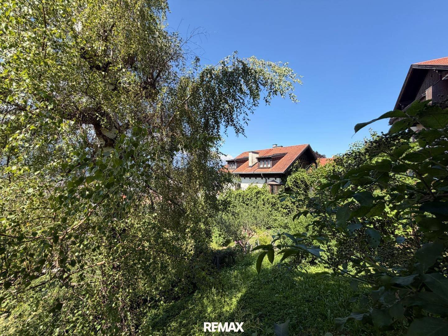Blick auf ein charmantes Haus, umgeben von üppigem Grün und hohen Bäumen.