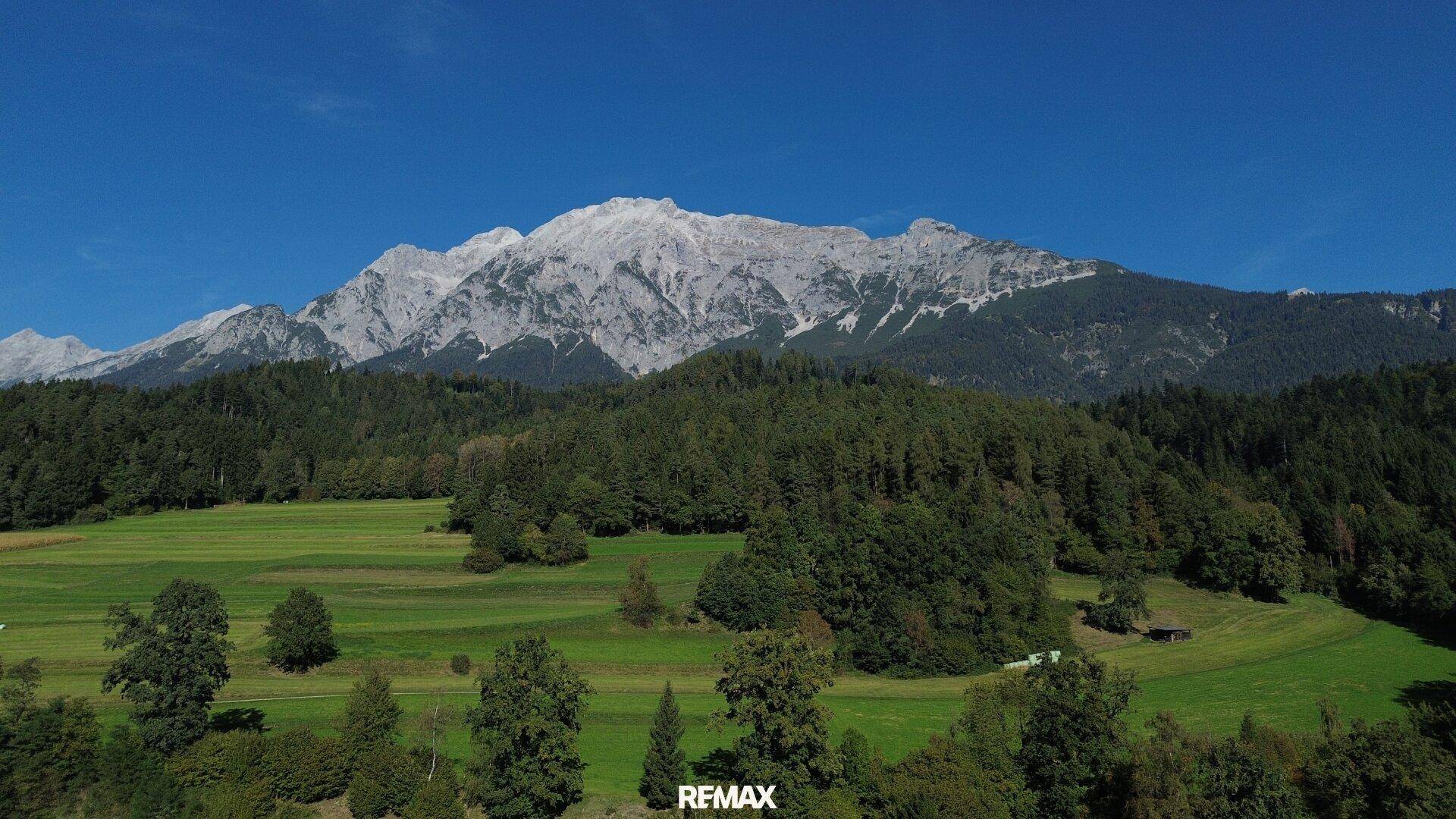 Weitläufige Berglandschaft mit dichten Wäldern und majestätischen Gipfeln unter klarem Himmel.