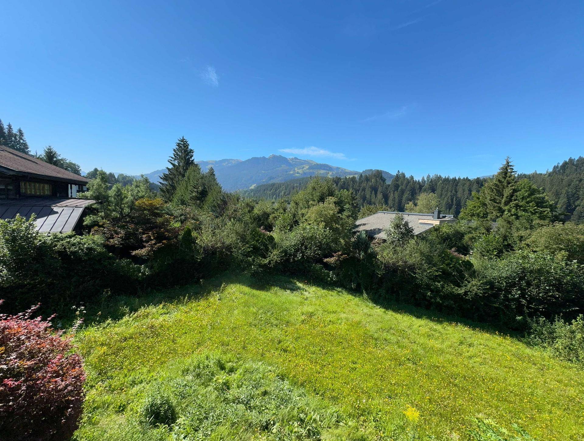 Weitläufige grüne Landschaft mit Blick auf bewaldete Hügel und ferne Berge unter blauem Himmel.