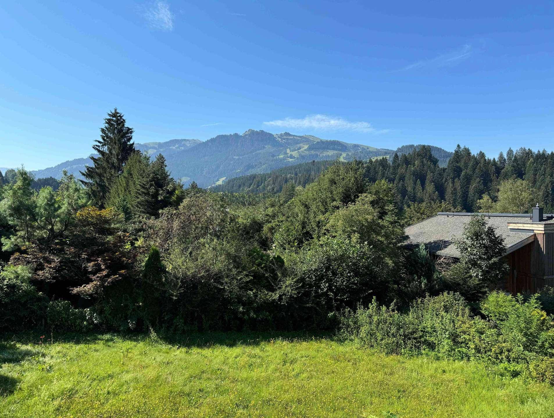 Panoramablick auf die grüne Bergwelt und bewaldete Hänge an einem klaren Sommertag.