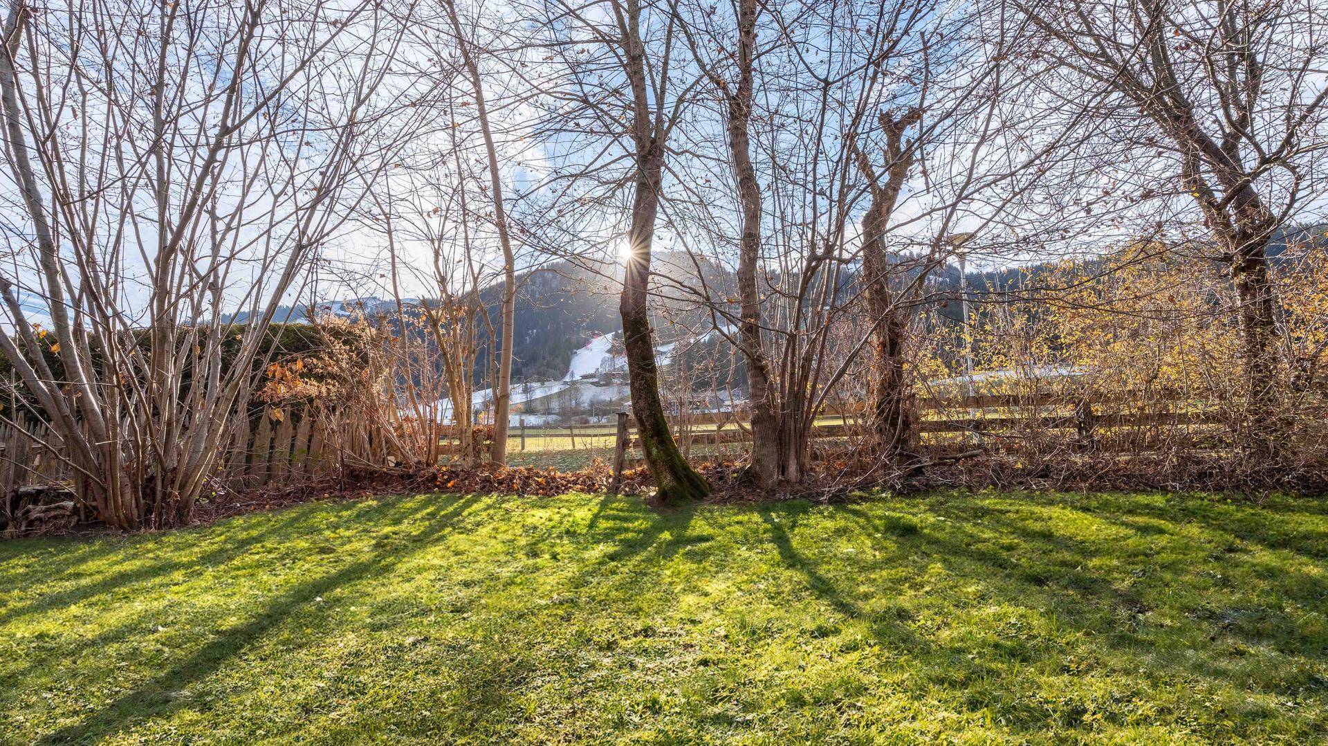 Sonniger Gartenbereich mit Rasen, Bäumen und Blick auf eine schneebedeckte Berglandschaft.