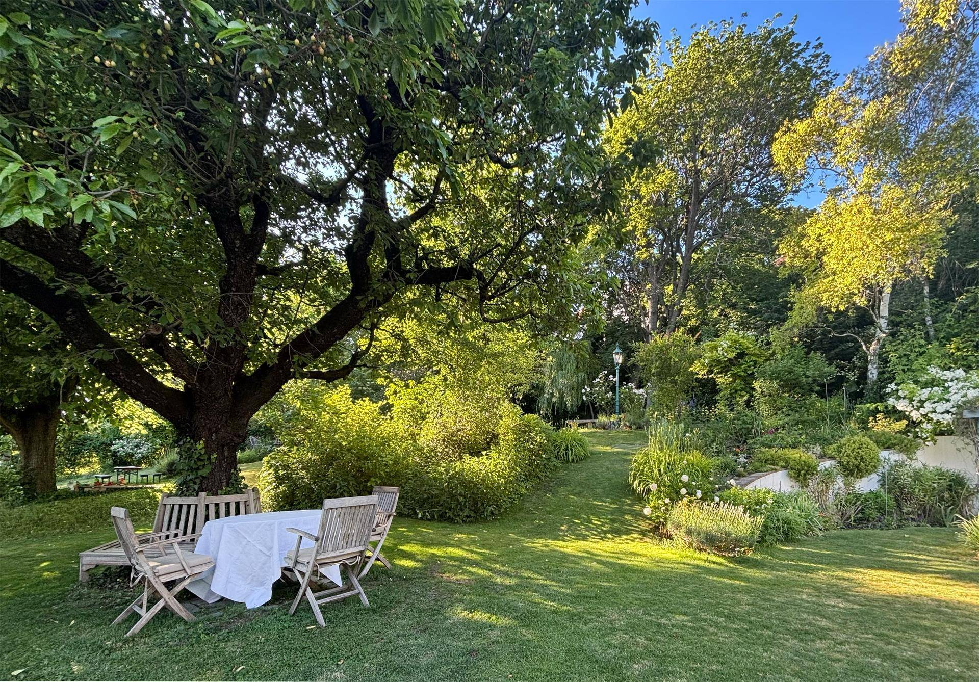 Essbereich im Freien unter einem großen Baum, umgeben von der weitläufigen Gartenlandschaft.