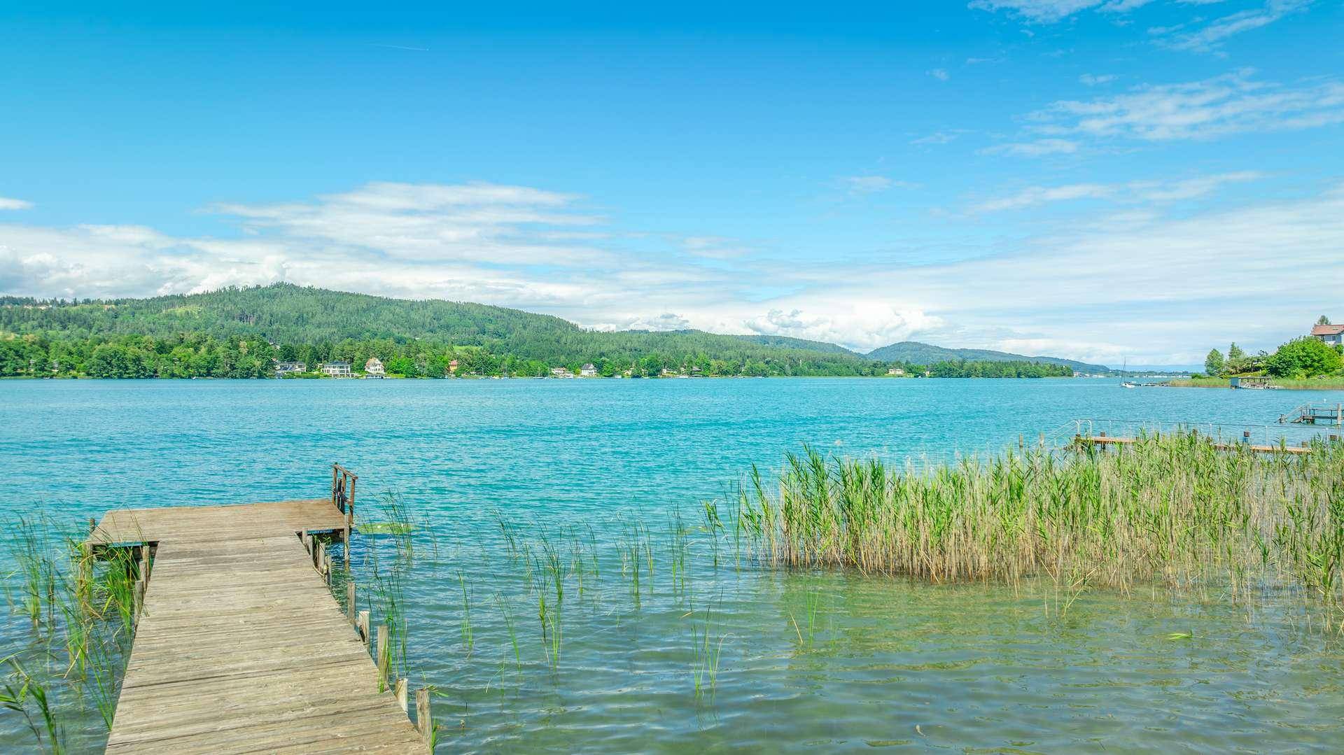 Nahaufnahme eines Holzstegs, der in das klare, türkisfarbene Wasser des Sees mit Schilf am Ufer ragt.