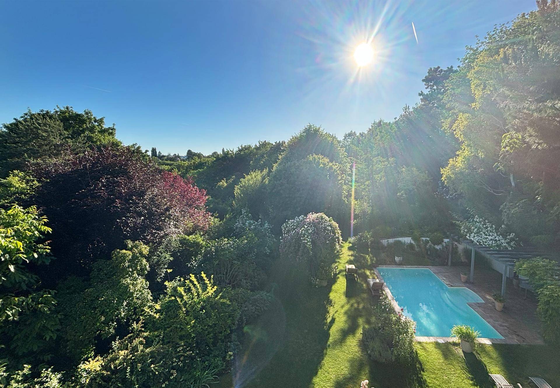 Sonniger Garten mit erfrischendem Pool, umgeben von dichtem Grün und hohen Bäumen.
