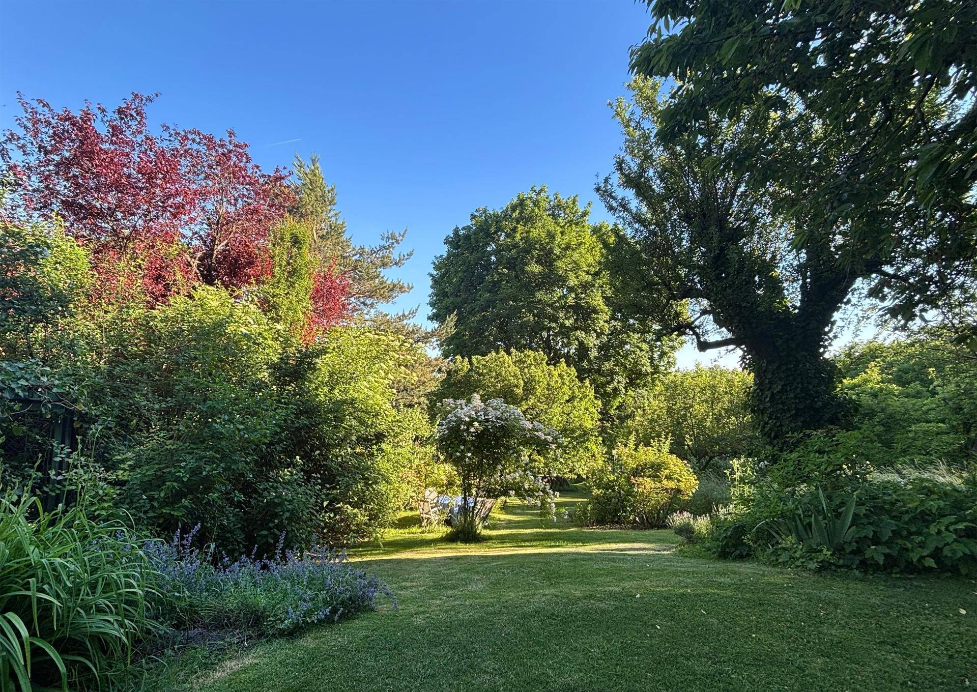 Weitläufiger Garten mit vielfältiger Bepflanzung, altem Baumbestand und gepflegtem Rasen.