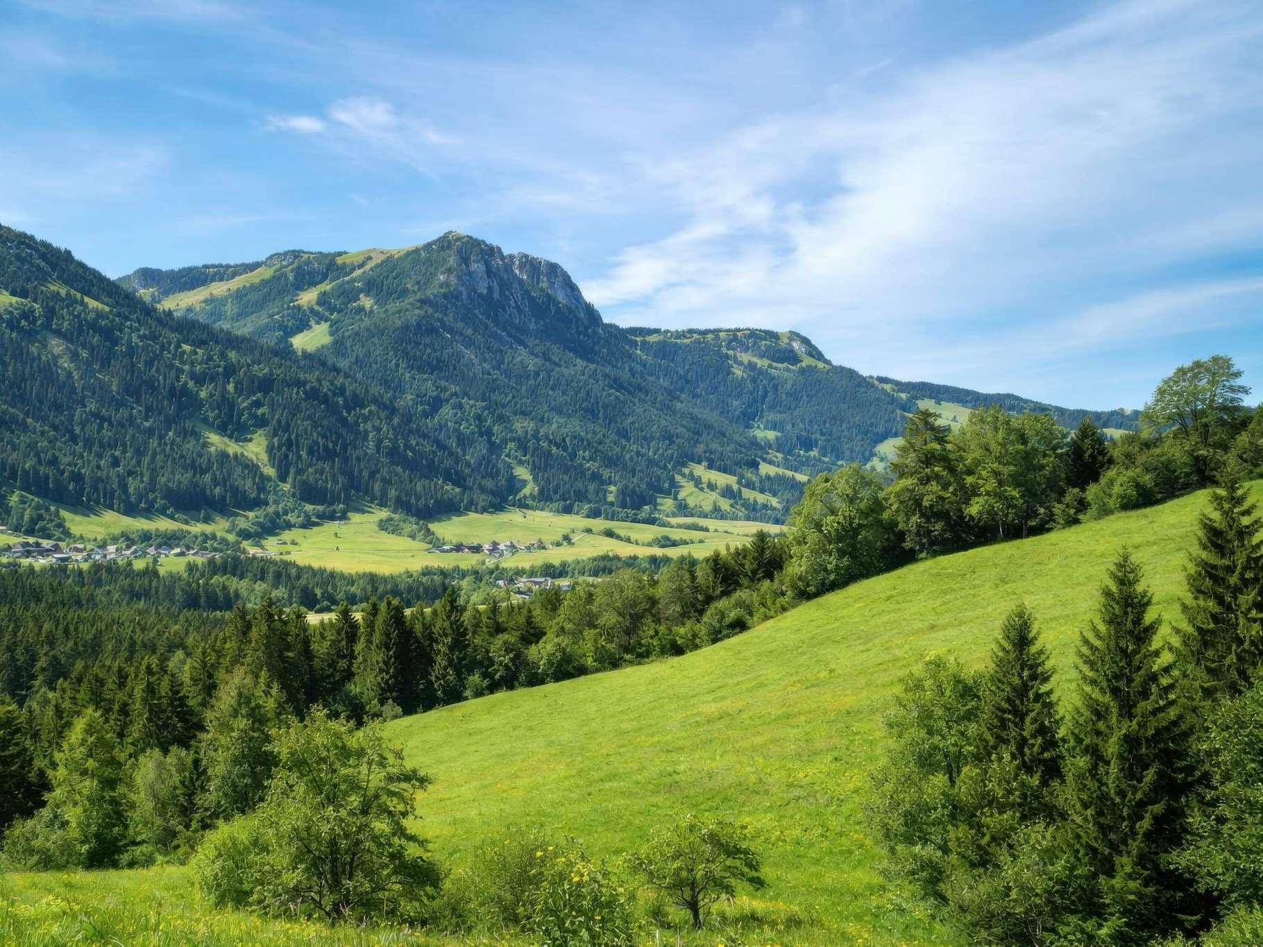 Weitläufige grüne Landschaft mit bewaldeten Bergen und einem Tal unter blauem Himmel.