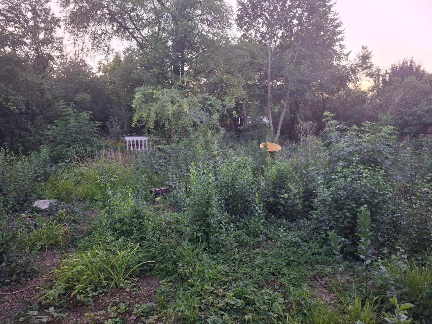 IMG-20250724-WA0014