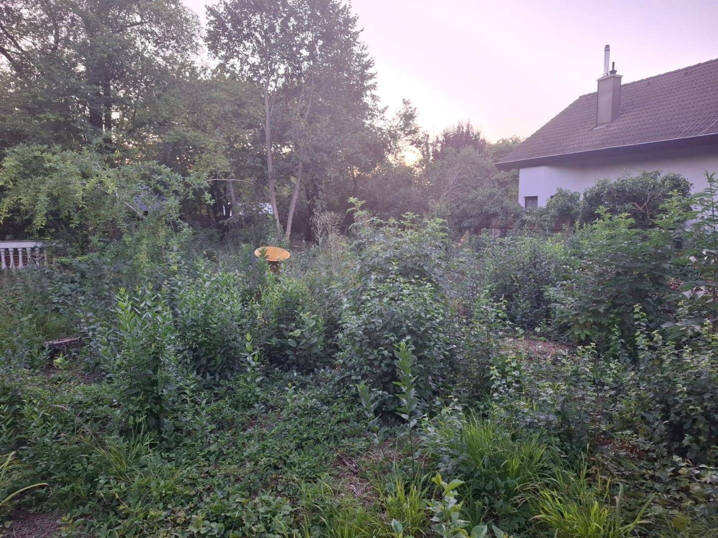 IMG-20250724-WA0013