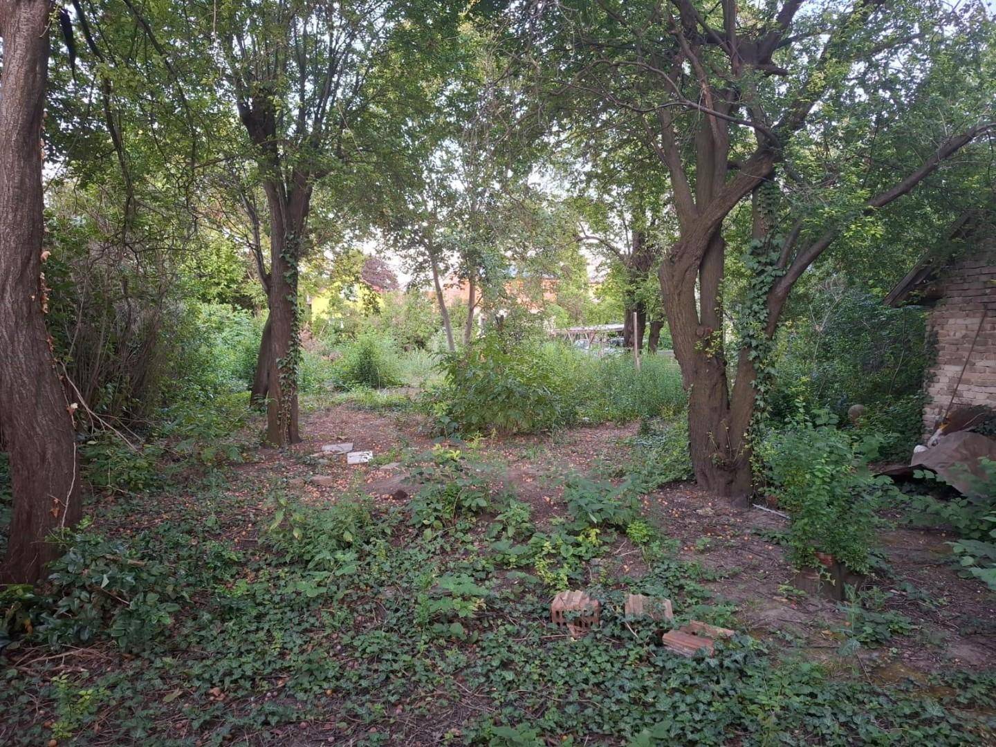 IMG-20250724-WA0005