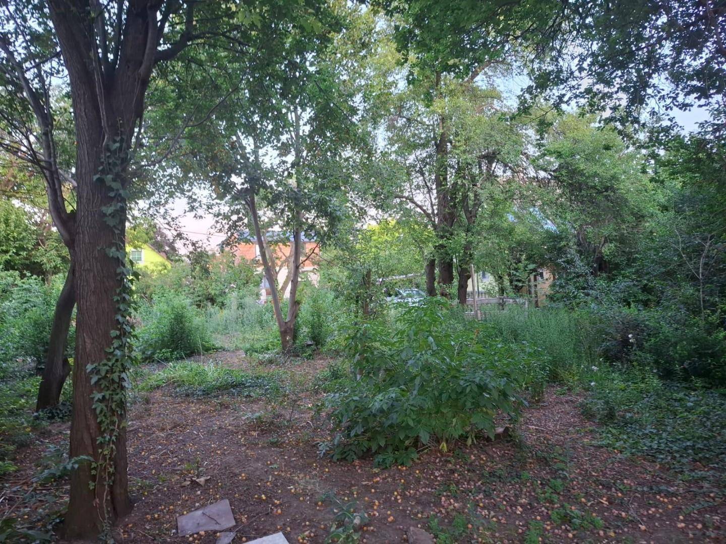 IMG-20250724-WA0004