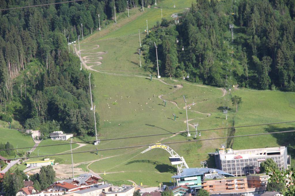 Panoramablick auf eine grüne Skipiste mit Liftanlagen und umliegenden bewaldeten Bergen.