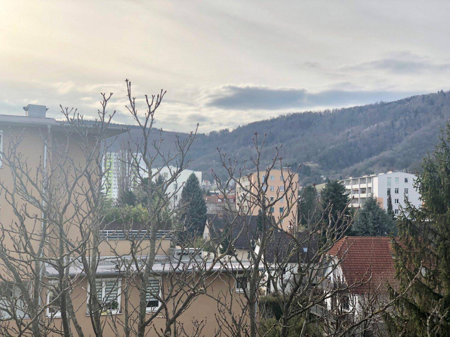 Bild: Waagner-Biro-Straße 109-115