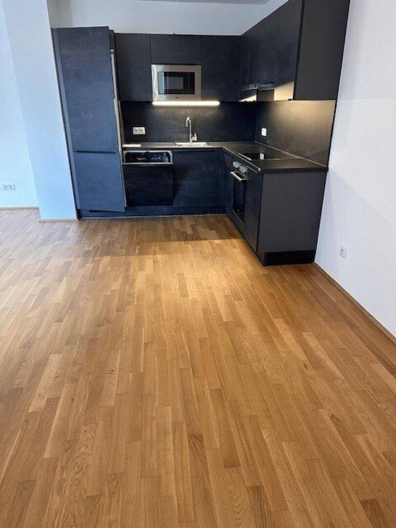 Moderne Einbauküche in Schwarz mit integrierten Geräten und Holzboden im offenen Wohnbereich.