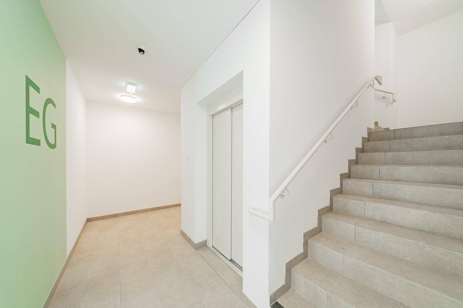 Eingangsbereich im Erdgeschoss mit Aufzug, Treppe und hellgrüner Akzentwand.
