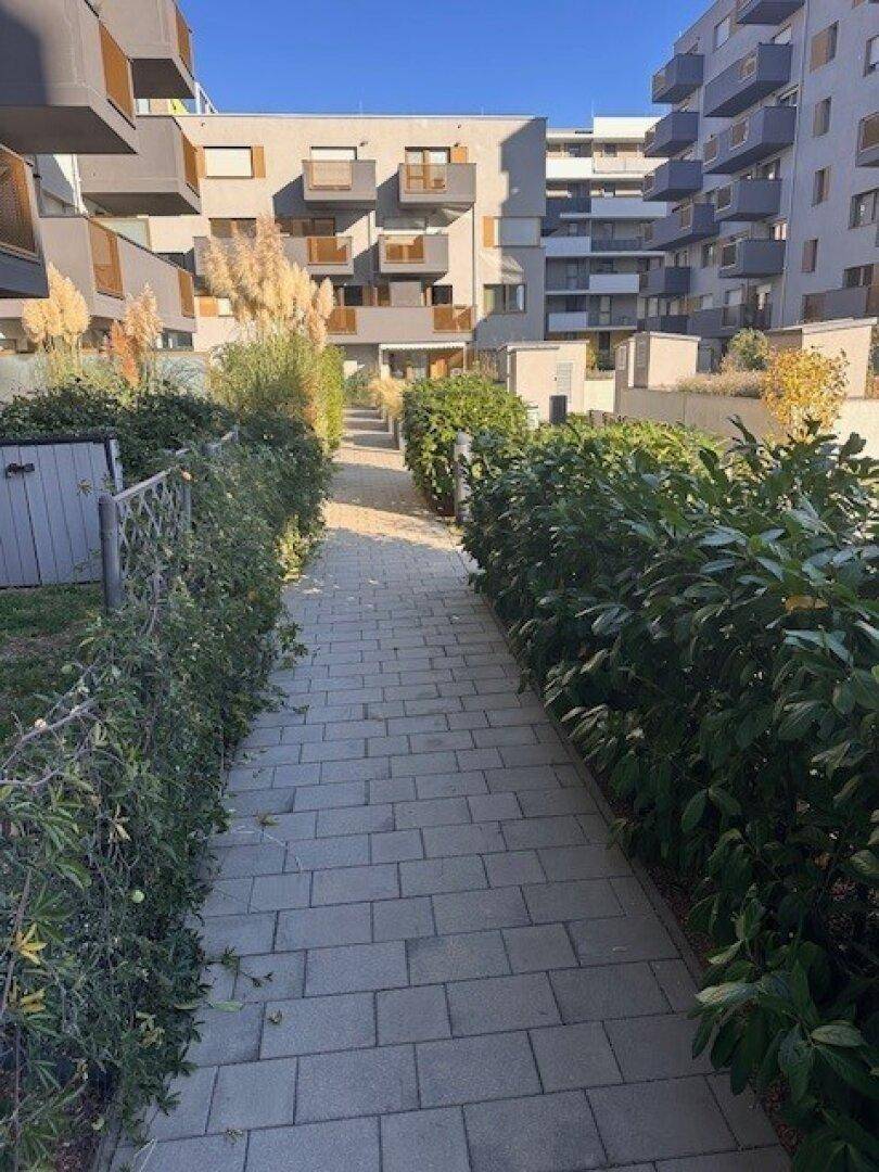 Gepflasterter Weg zwischen modernen Wohngebäuden mit begrünten Hecken.