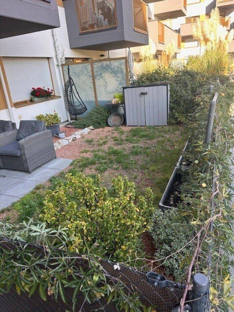 Kleiner Gartenbereich mit Rasen, Sträuchern und einem Gartenhaus.