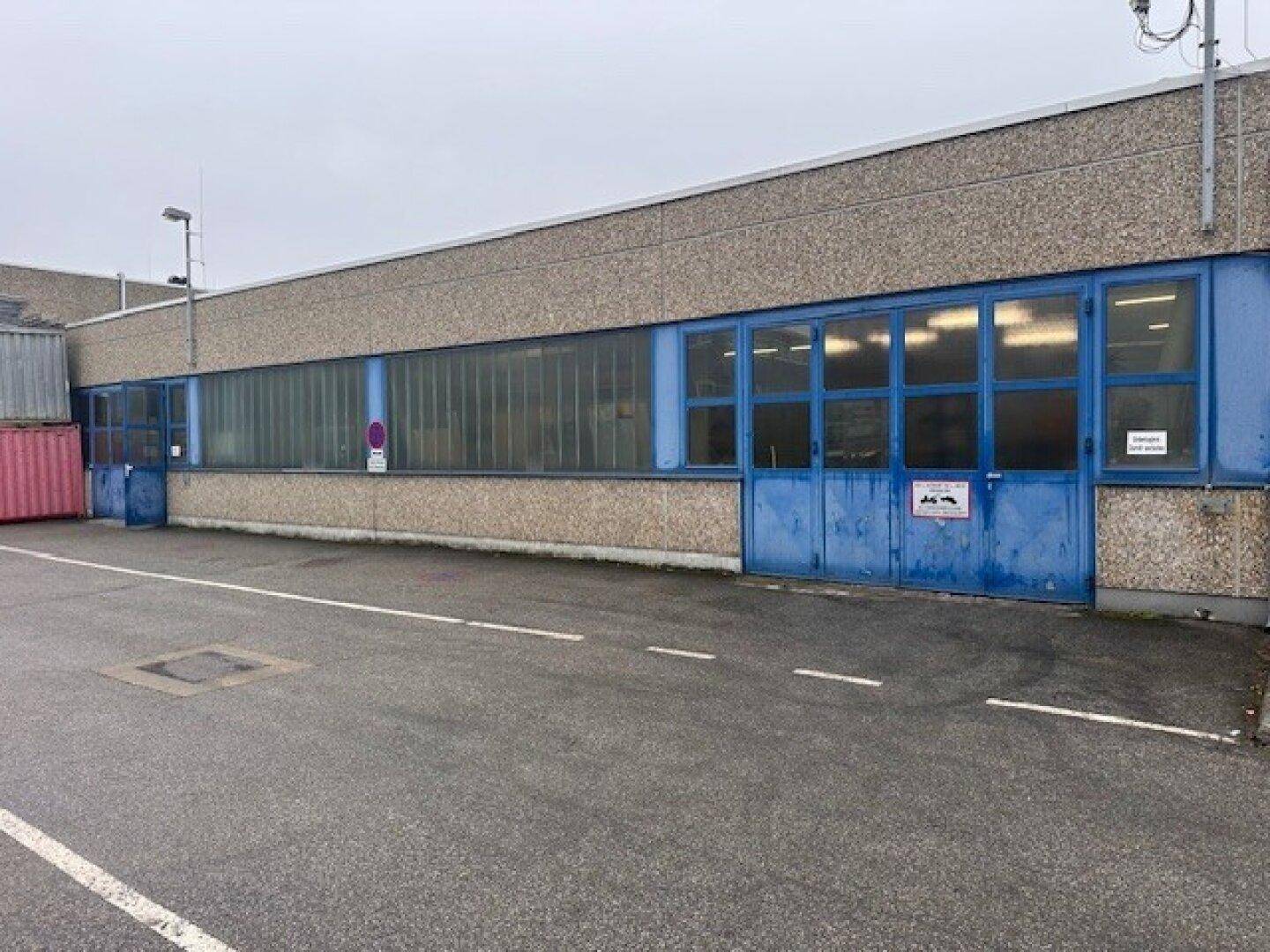 Seitenansicht eines Gewerbegebäudes mit großen Fenstern und blauen Garagentoren.