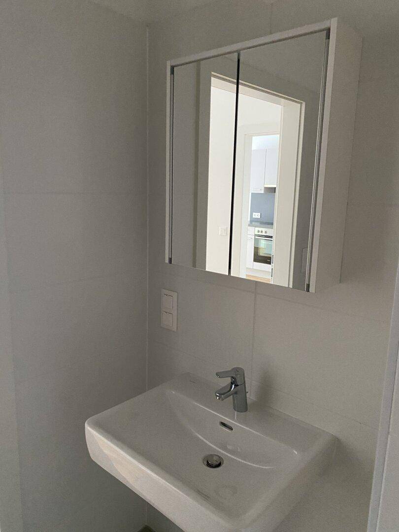 Badezimmer mit Waschbecken und Spiegelschrank, reflektiert den angrenzenden Küchenbereich.