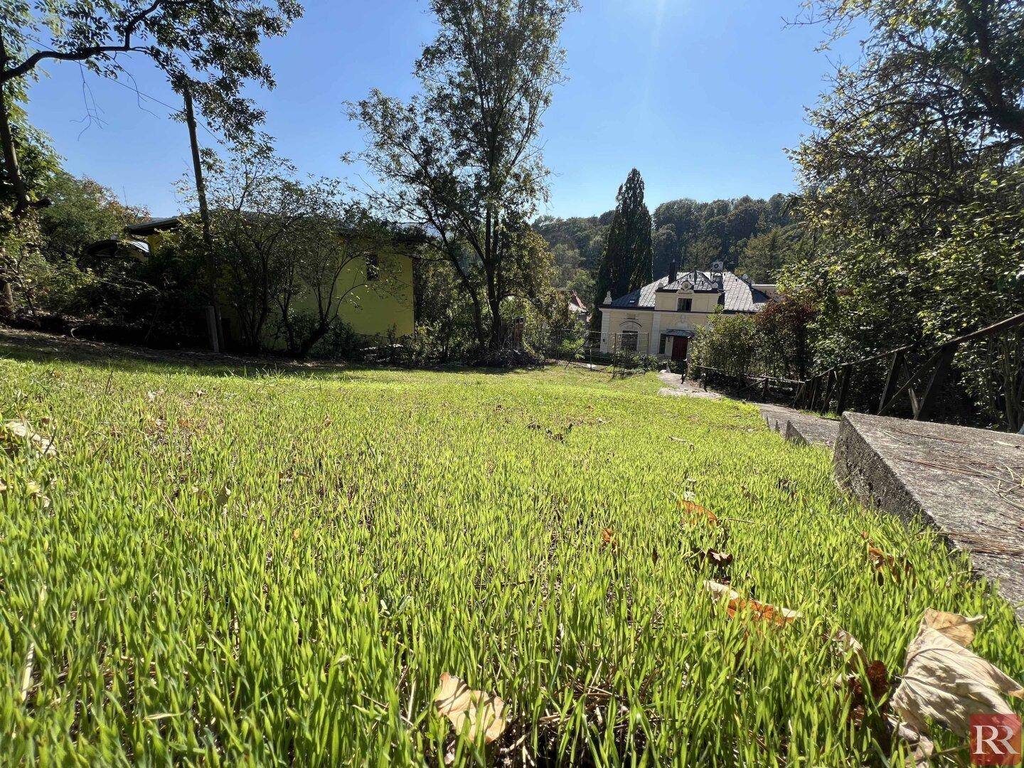 Sonnige Rasenfläche mit frischem Grün und einem Haus im Hintergrund, umgeben von hohen Bäumen.