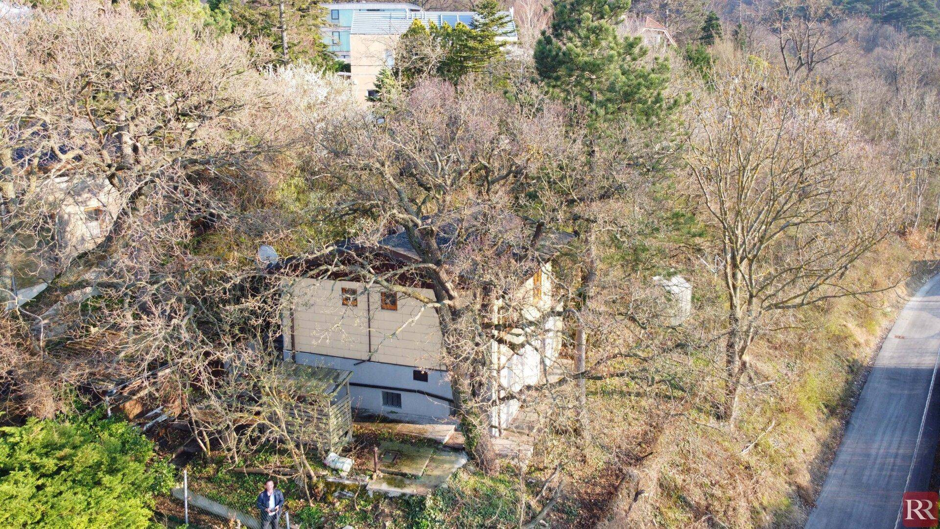 Luftaufnahme eines Hauses mit einfacher Fassade, umgeben von kahlen Bäumen und Vegetation auf einem Hanggrundstück.