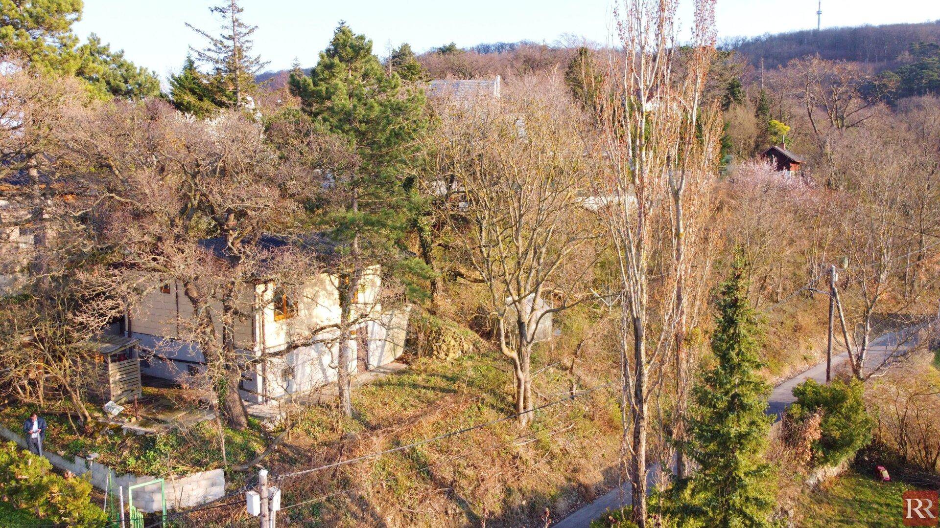 Weitläufige Luftaufnahme eines Hauses auf einem Hanggrundstück, umgeben von Bäumen und einem Weg.