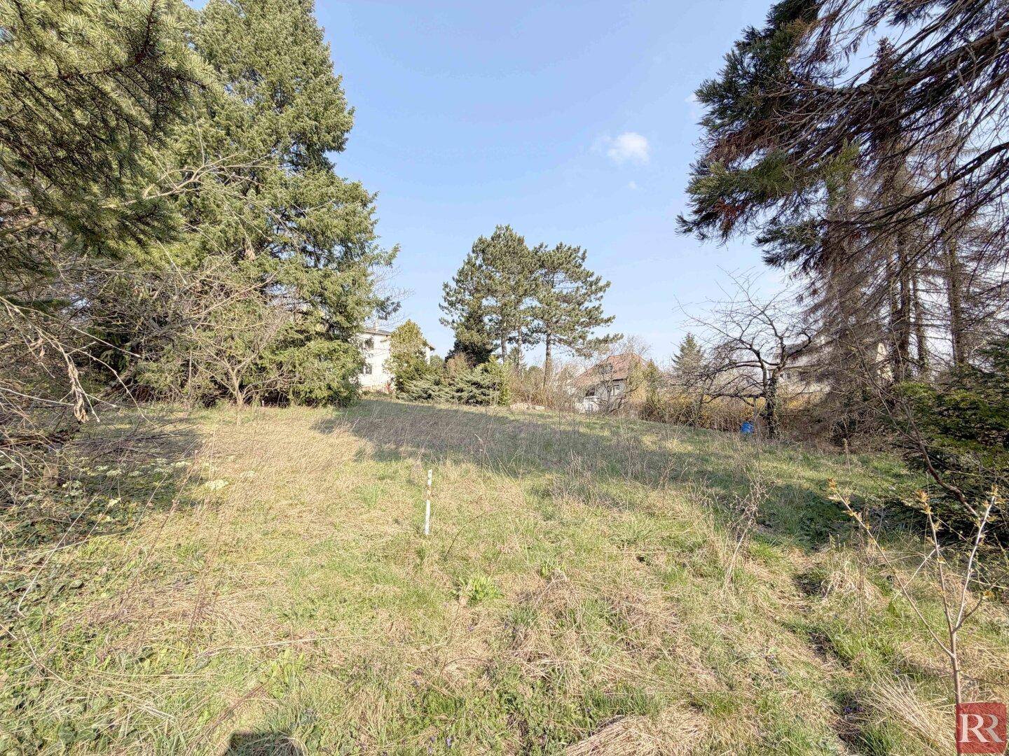 Weitläufiges, sonniges Grundstück mit Gras und vereinzelten Bäumen in ländlicher Umgebung.
