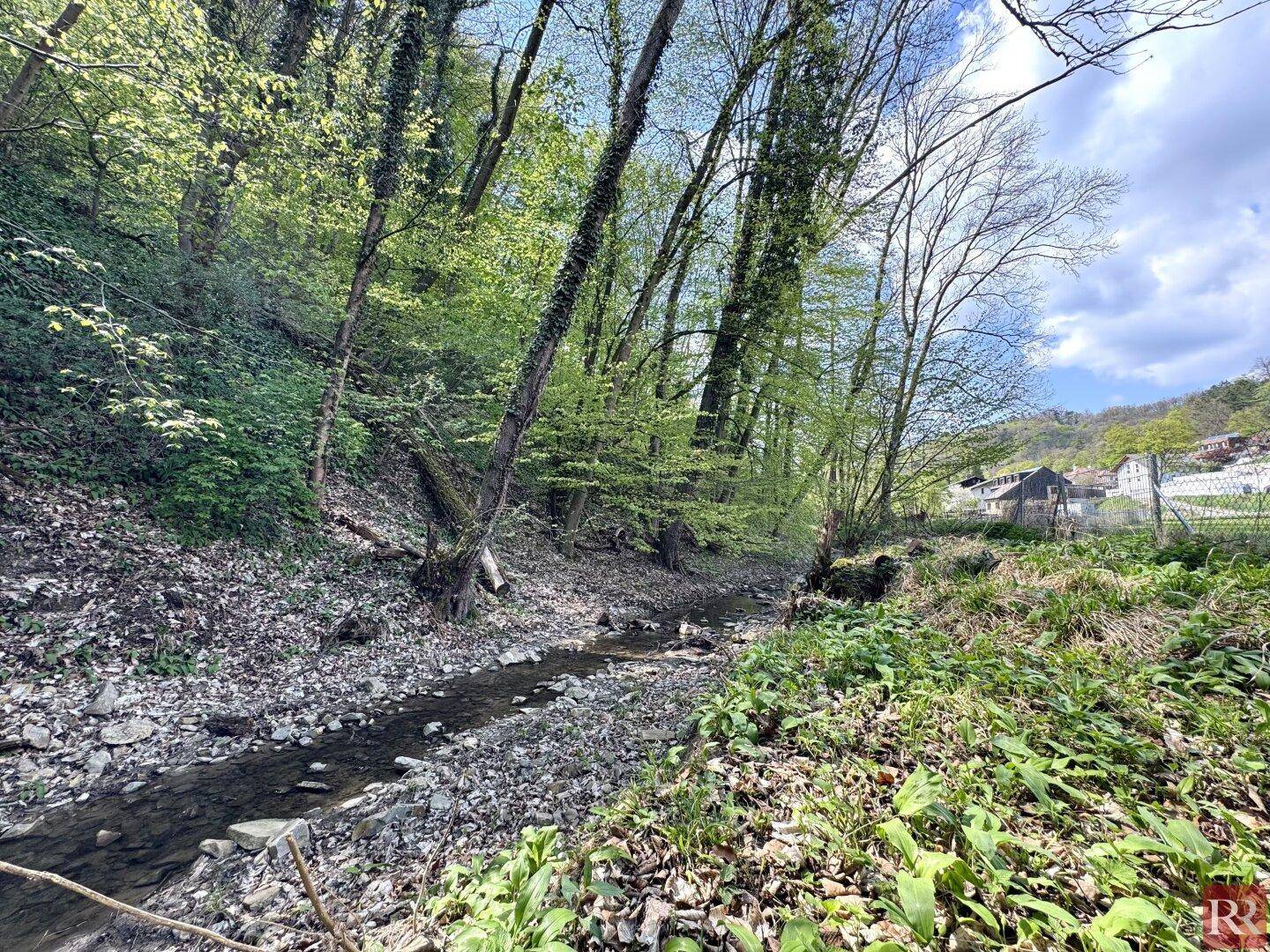 Natürlicher Bachlauf in einem bewaldeten Gebiet mit Blick auf entfernte Häuser.