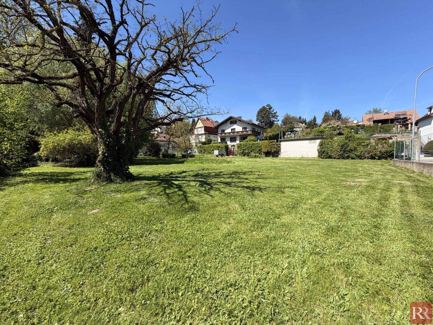 Weitläufige Rasenfläche mit einem großen, alten Baum und Häusern im Hintergrund unter blauem Himmel.