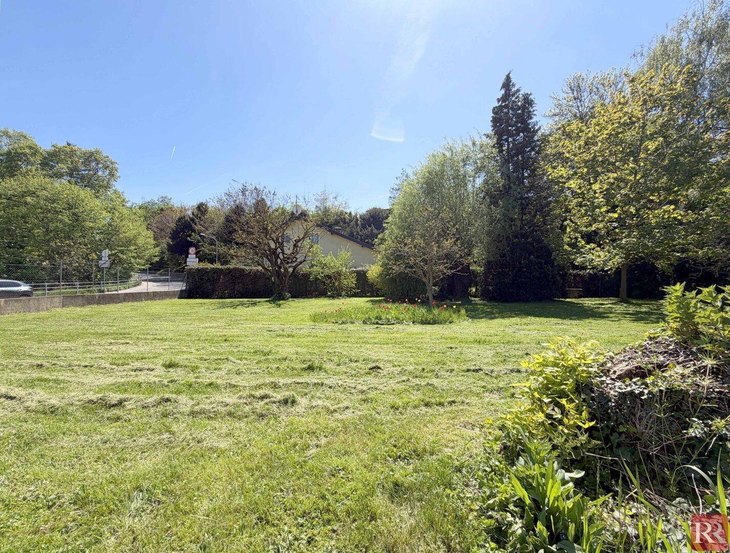 Weitläufige Grünfläche mit Bäumen und einer Straße im Hintergrund an einem sonnigen Frühlingstag.