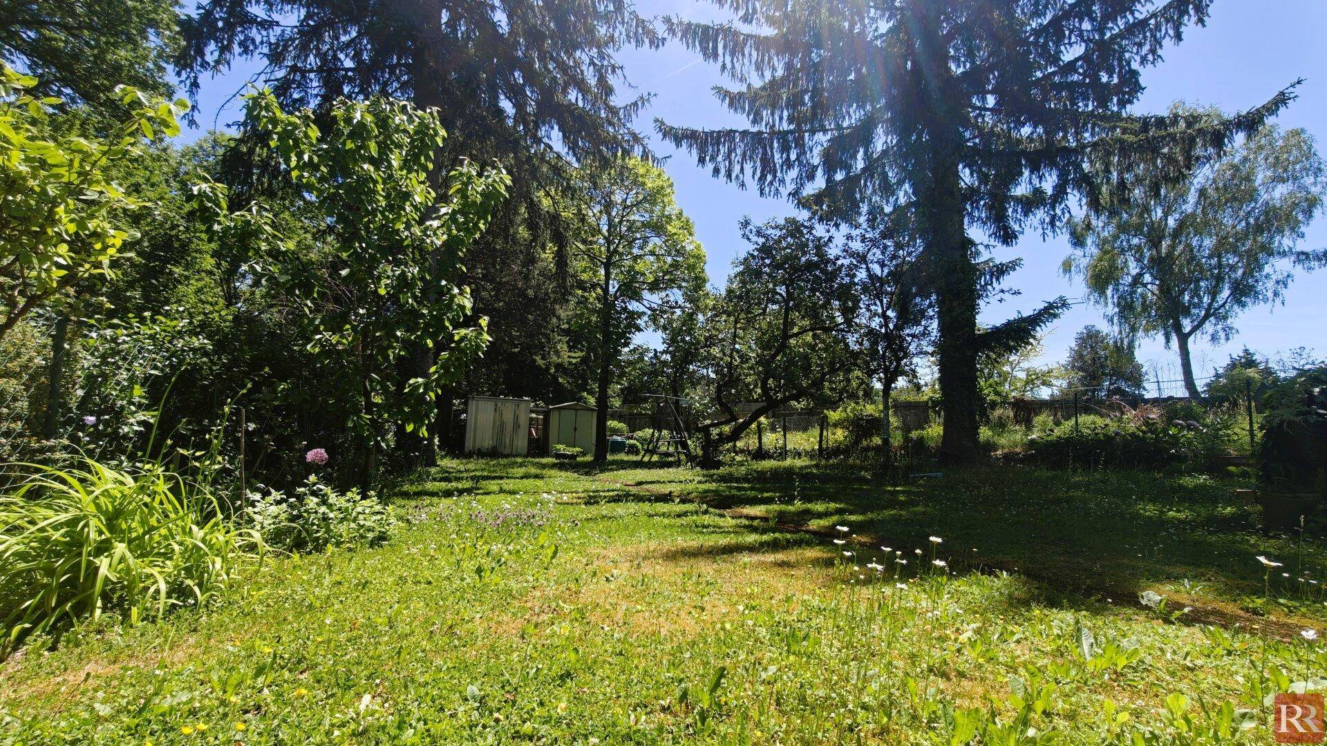 Sonniger Garten mit hohen Bäumen, weitläufiger Rasenfläche und einem kleinen Geräteschuppen im Hintergrund.