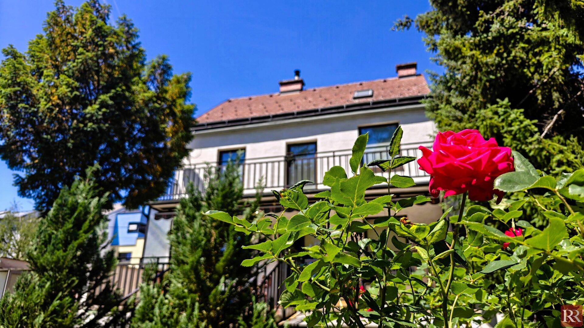 Rote Rosenblüten im Vordergrund mit Blick auf die Hausfassade und einen Balkon im Sonnenlicht.