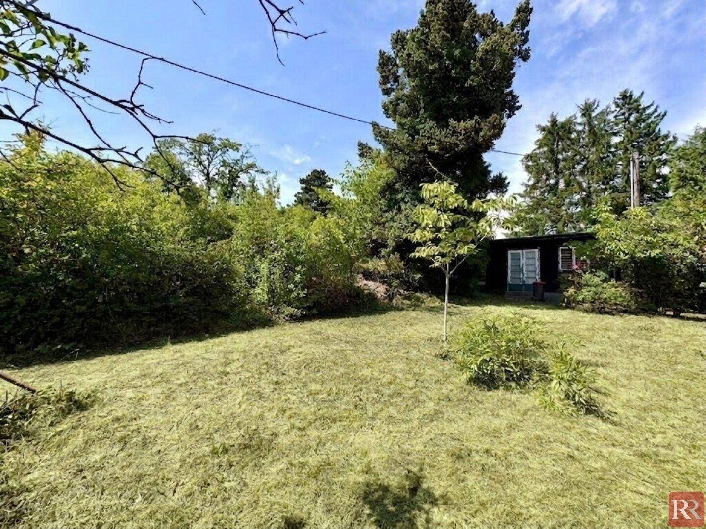 Weitläufige Rasenfläche im Garten, umgeben von üppigem Grün und einem kleinen Gartenhaus im Hintergrund.