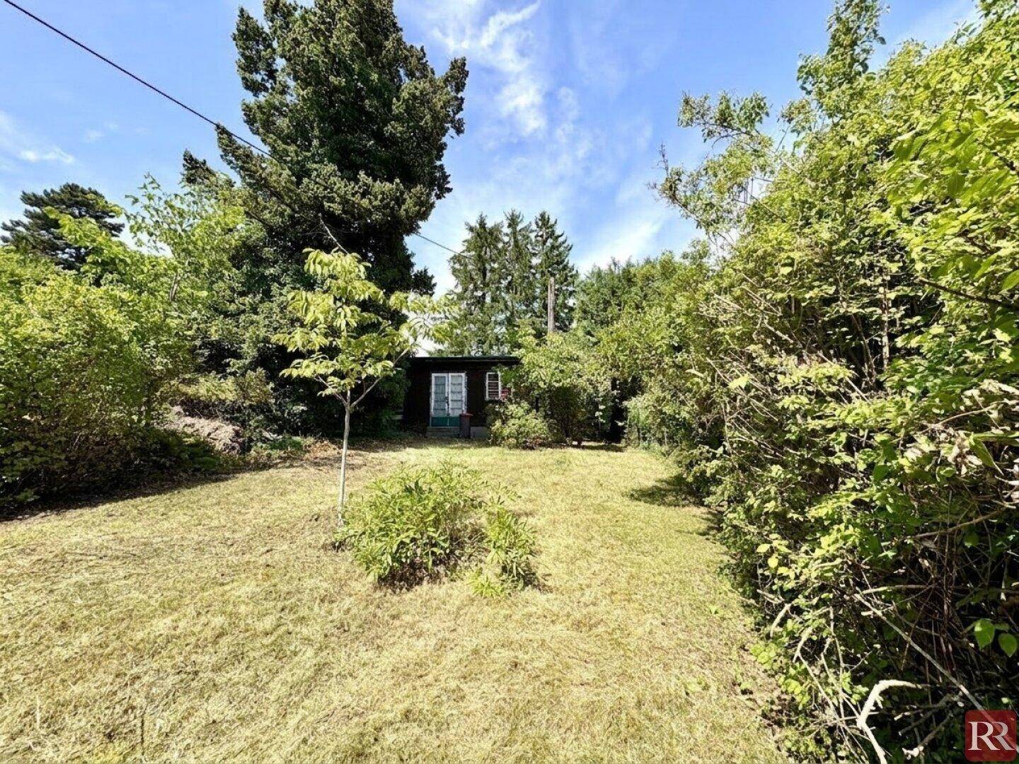 Sonniger Gartenweg führt durch die Rasenfläche zu einem charmanten Gartenhaus, umgeben von Natur.