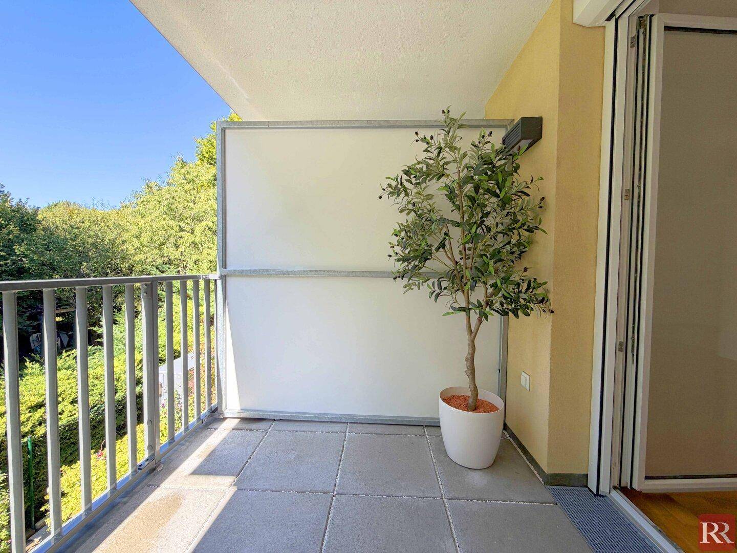 Sonniger Balkon mit Fliesenboden, Sichtschutz und einem dekorativen Olivenbaum.