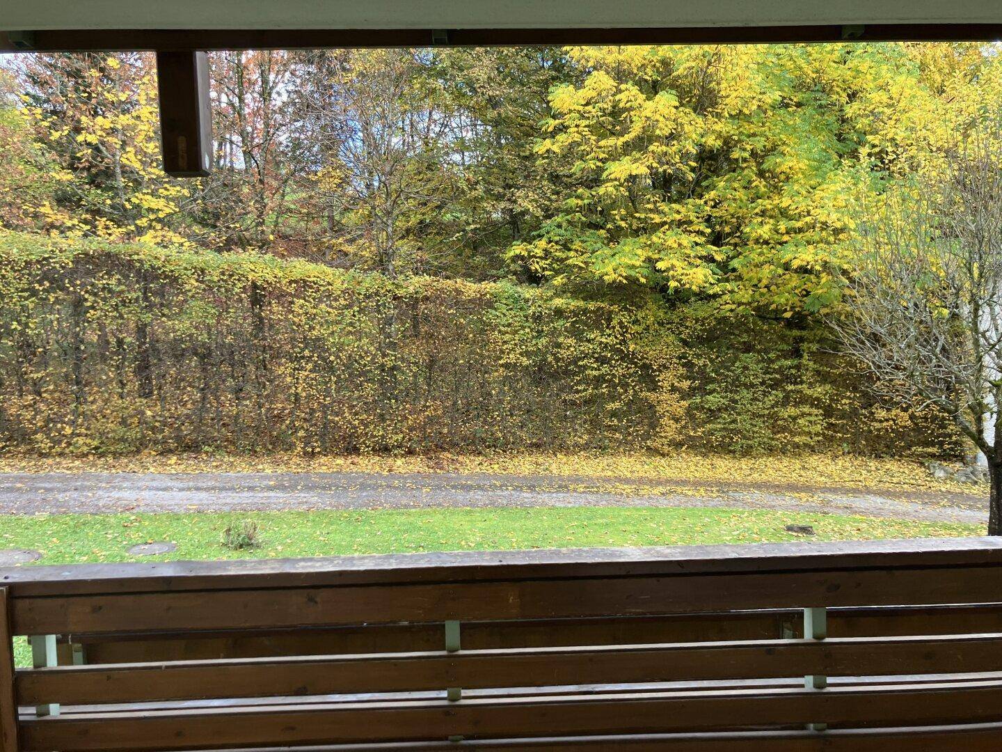 Blick vom Balkon auf eine grüne Hecke und herbstliche Bäume, die eine natürliche Umgebung schaffen.