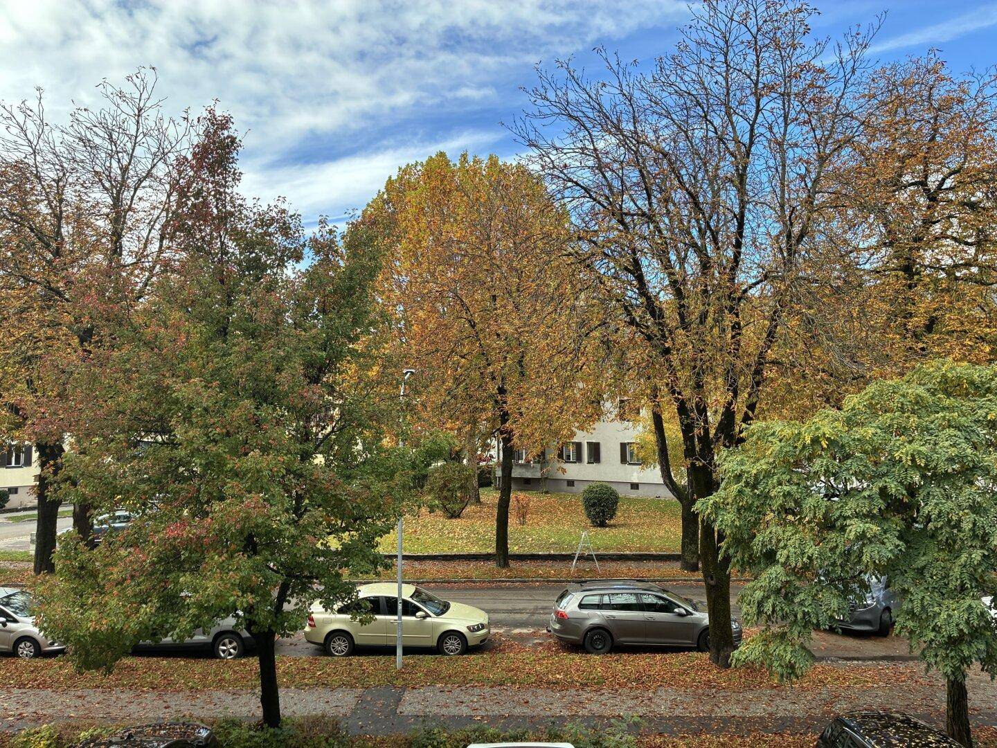 Aussicht vom Balkon auf eine grüne Allee mit parkenden Autos und herbstlichem Laub.