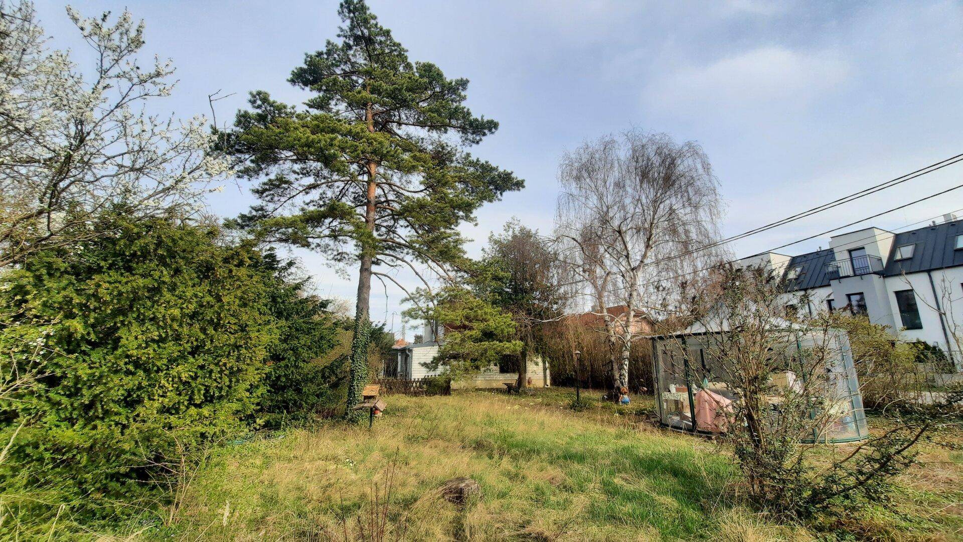 BIETERVERFAHREN ! GRÜNRUHELAGE MIT BAUGENEHMIGUNG UND HOHER FLÄCHENEFFIZIENZ – pohled 5