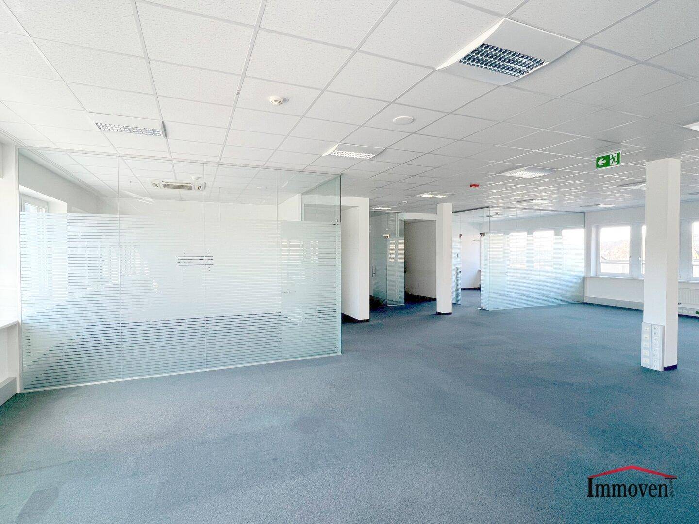 Weitläufiger Bürobereich mit blaugrauem Teppichboden und mehreren modernen Glasbüros, die viel Licht bieten.