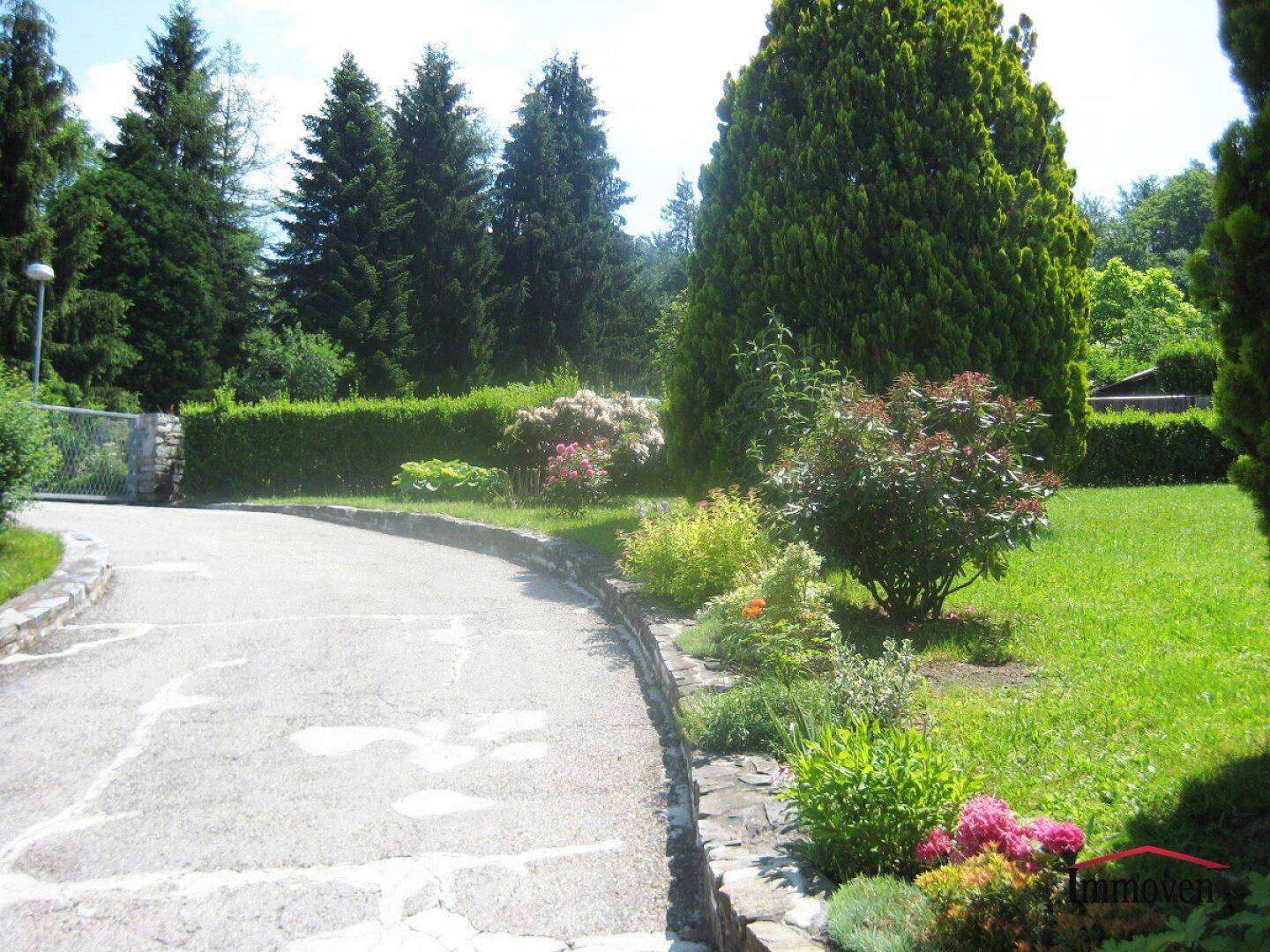 Gepflegte Auffahrt führt durch einen grünen Garten mit hohen Bäumen und Hecken.