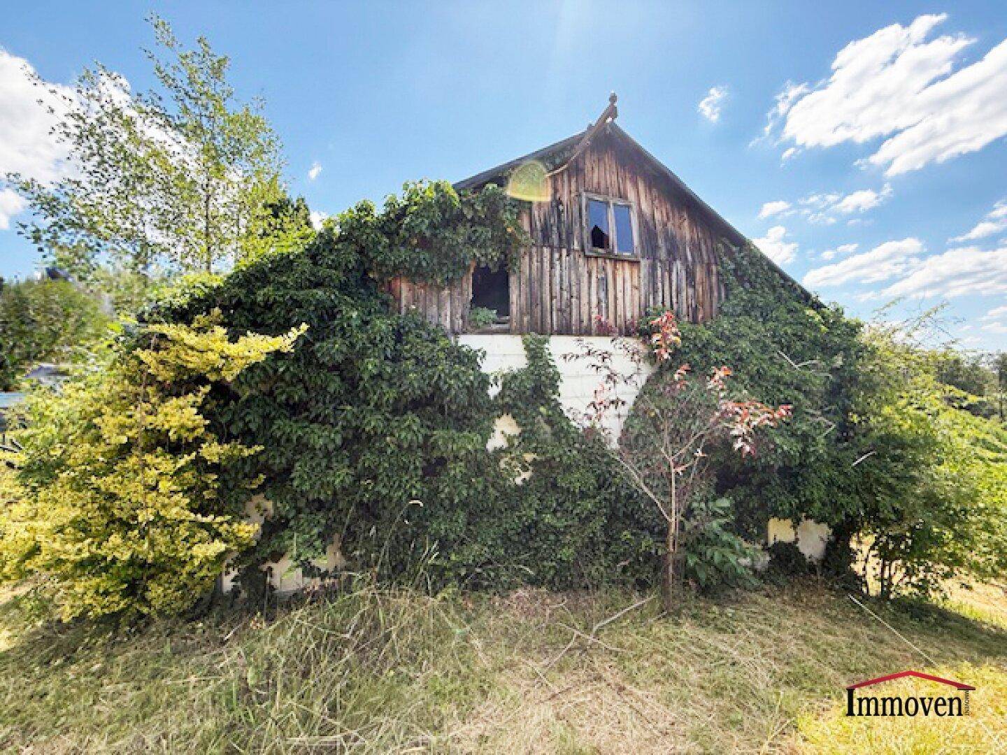 Altes, verfallenes Holzgebäude, das stark von dichtem Efeu und anderen Pflanzen überwuchert ist.