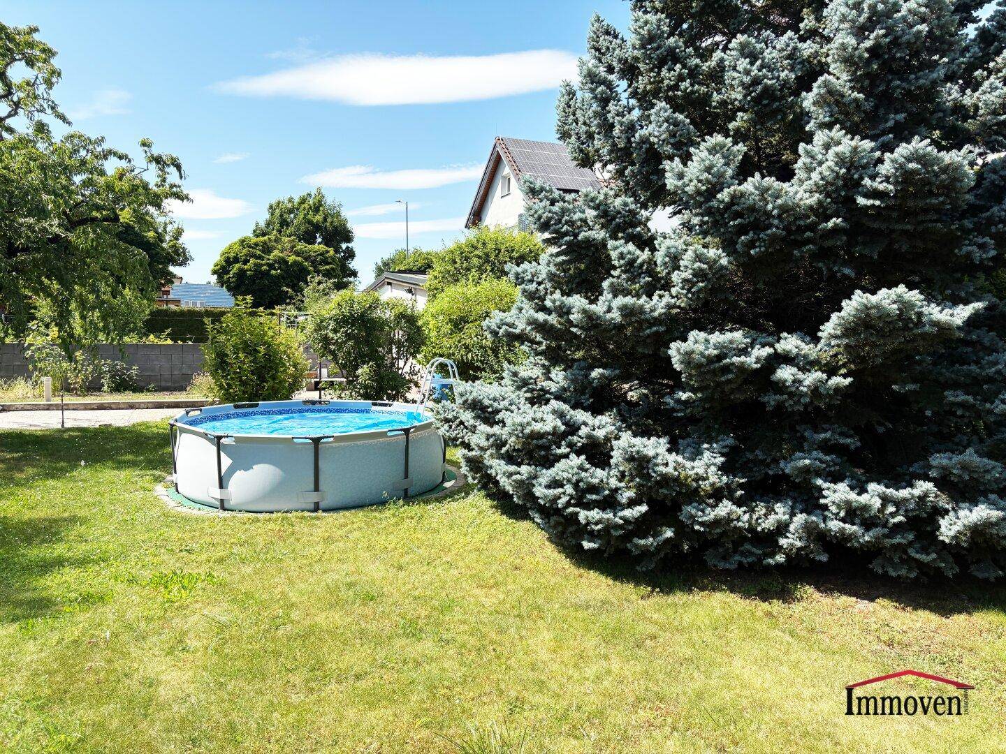 Grüner Gartenbereich mit einem Aufstellpool und einem großen Nadelbaum unter blauem Himmel.