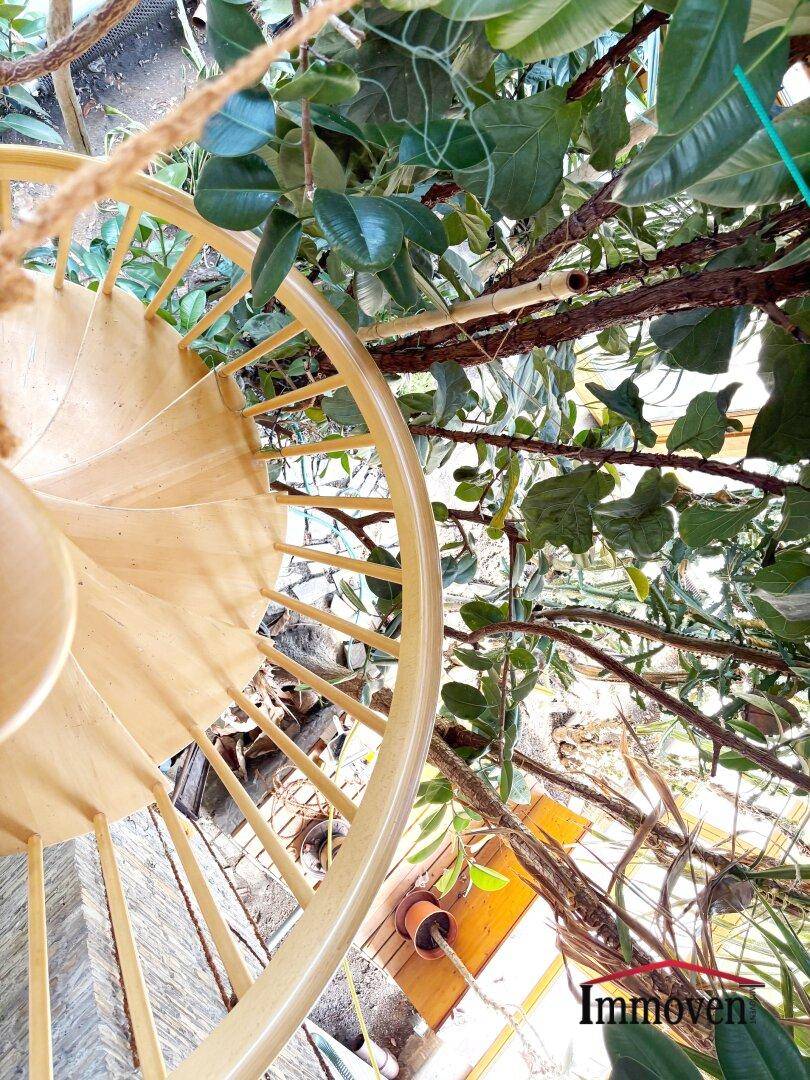Blick von oben auf eine Wendeltreppe, umgeben von üppigen Grünpflanzen.