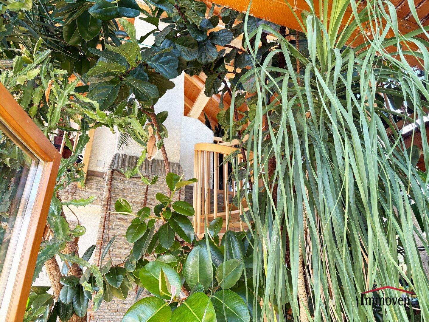 Blick durch üppige Pflanzen auf eine Holzdecke und eine Wendeltreppe im Wintergarten.