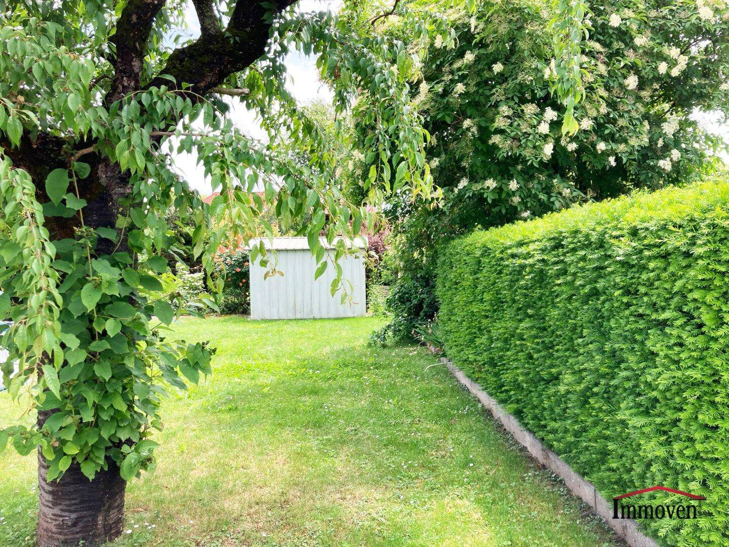 Großer, gepflegter Garten mit Rasenfläche, altem Baum und einem Gartenschuppen.